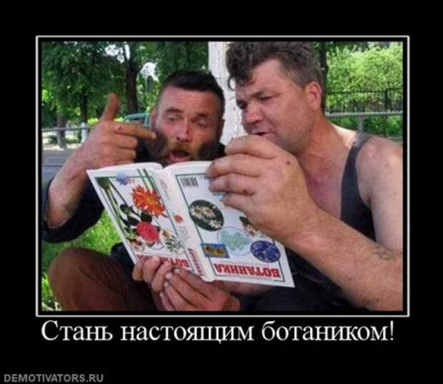 Разные смешные демотиваторы, новые приколы на фото.