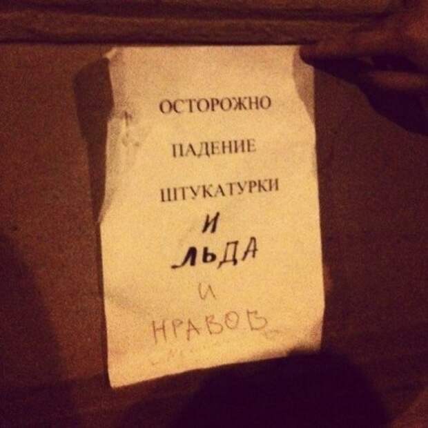 Смешные вывески, объявления и реклама (15 фото)