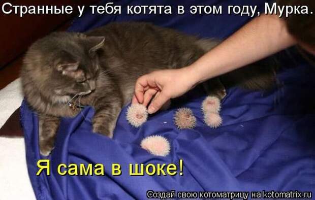 Давайте улыбаться вместе :)