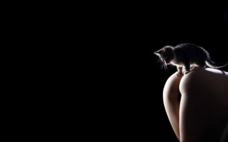 Красивые и сексуальные (25 фотографий)