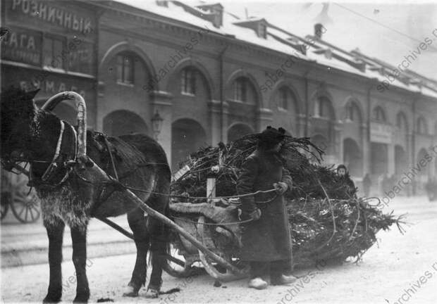 1913. Воз с елками у Никольского рынка 1913. Воз с елками у Никольского рынка