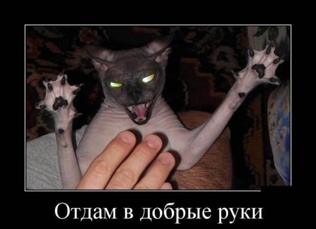 Демотиваторы (30 фото)