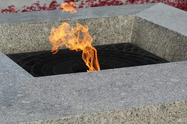 Бастрыкин взял на контроль дело об осквернении Вечного огня на Марсовом поле