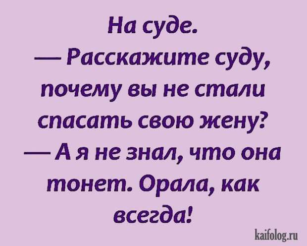 Смешные анекдоты (40 картинок)