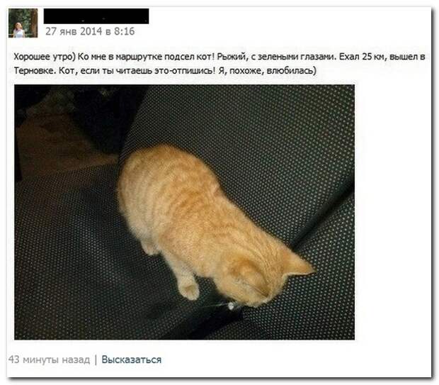 Смешные комментарии из социальных сетей 20.05.14 комментарии, прикол, соцсети