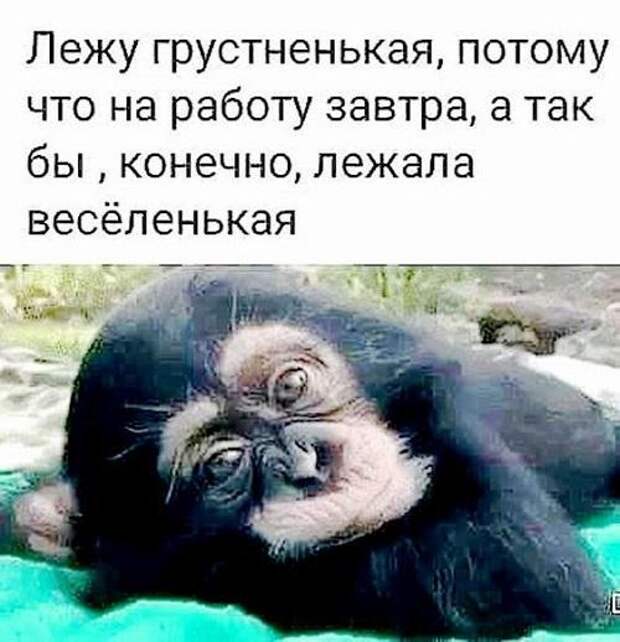 Смешные до слез свежие мемы (среда)