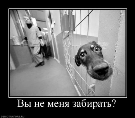 Демотиваторы о чувствах и любви.