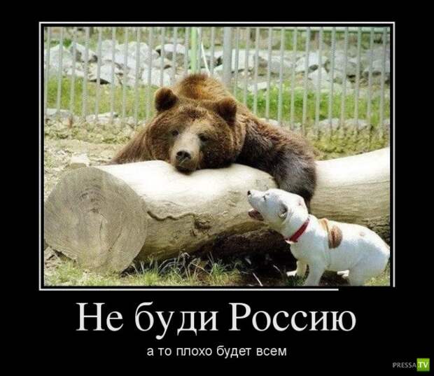 Демотиваторы на июль, часть 16 (30 фото) Демотиваторы на июль, часть 16 (30 фото)