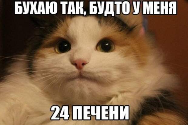 Вечерние фото-приколы (28 шт)