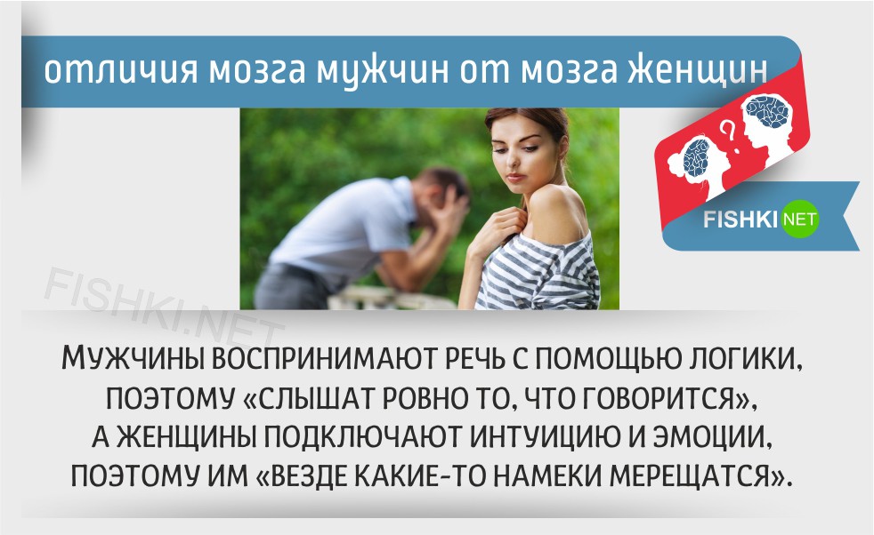 20 отличий мозга мужчин от мозга женщин женщины, мозг, мужчины