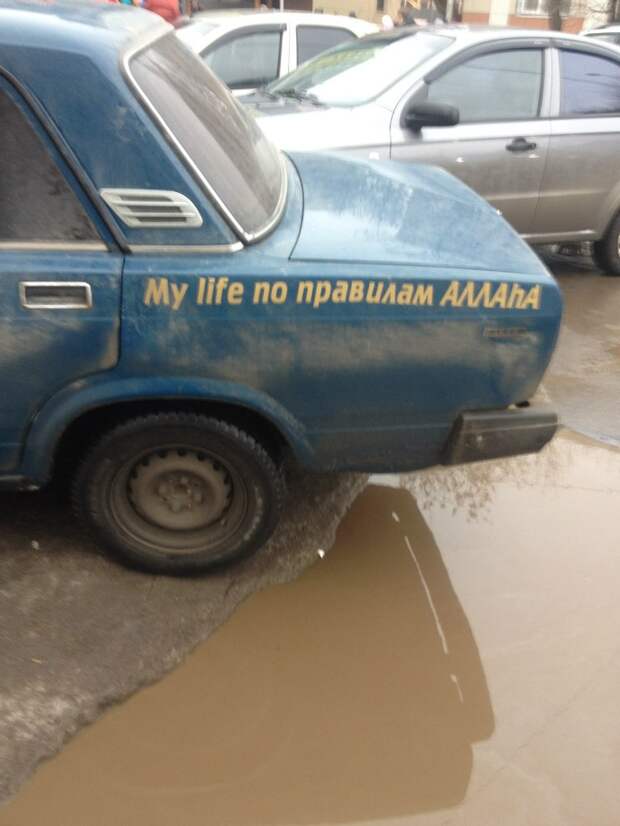 Подборка автоприколов. Часть 202 автоприколы, приколы