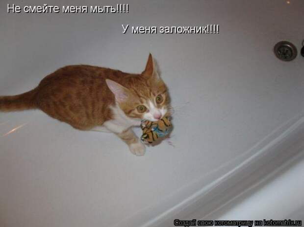 Мысли вслух :)
