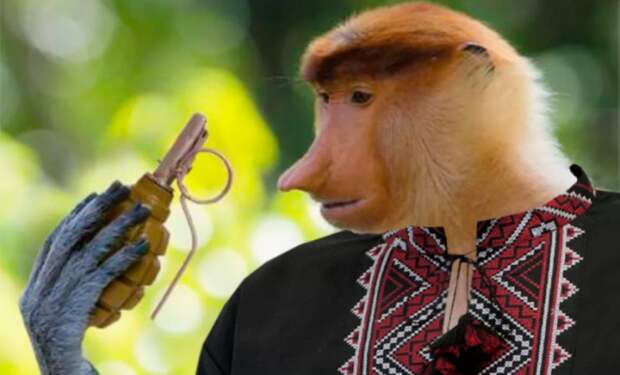 Ещё посмотрим, что там будет 9 мая на Красной площади – не подконтрольный Киеву укро-дроновод