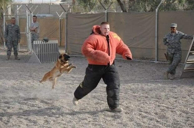 Oh-Shit-Images5