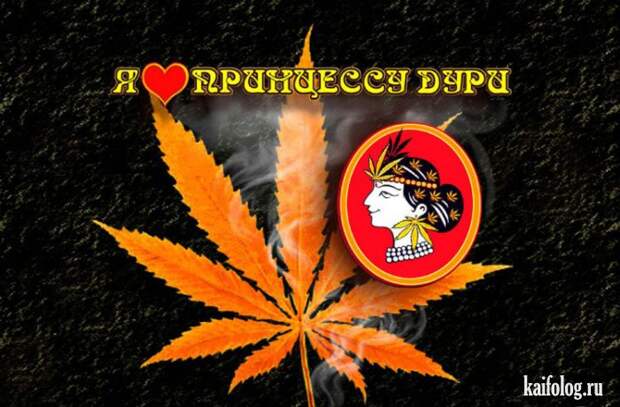 Веселые картинки (60 картинок) Веселые картинки (60 картинок)
