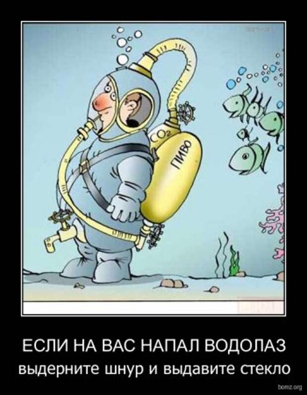 Прикольные новые демотиваторы.
