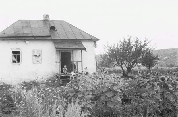 Фотограф Франц Грассер в Белгородской области. 1943