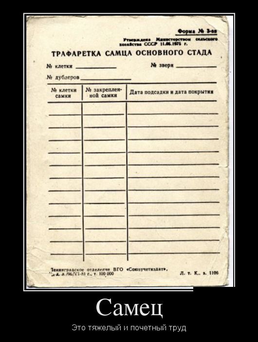Демотиваторы  демотиваторы, прикол, смех, юмор