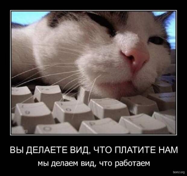 Смешные новенькие демотиваторы.