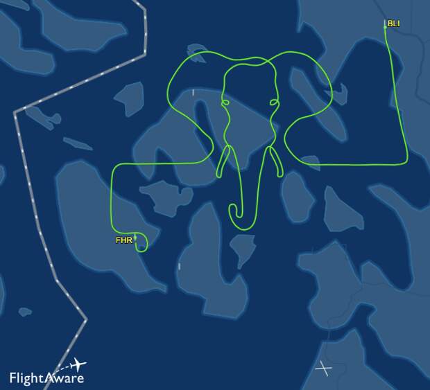 BYU Fan Pattern Plane