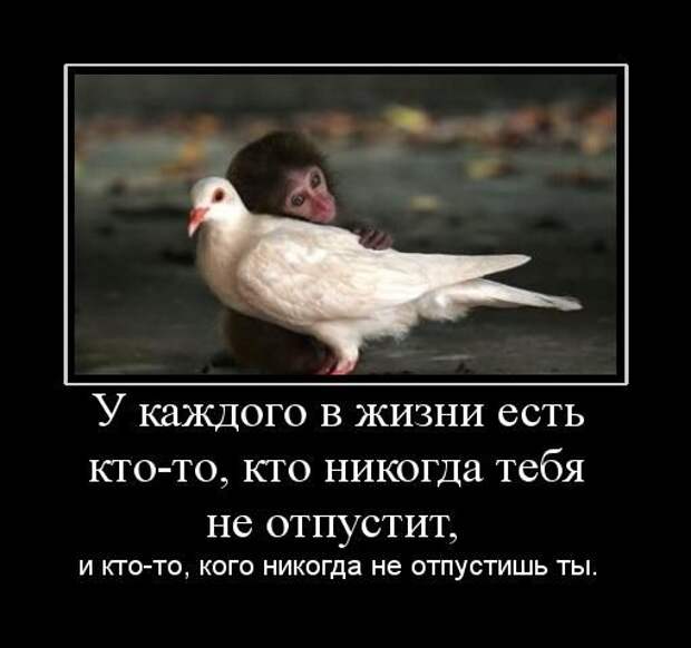 Демотиваторы (107 фото)
