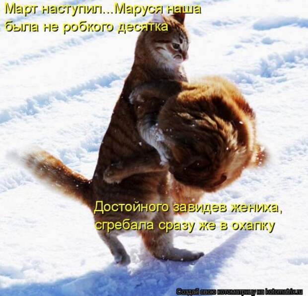 Котоматрица на Бугаге (30 фото)