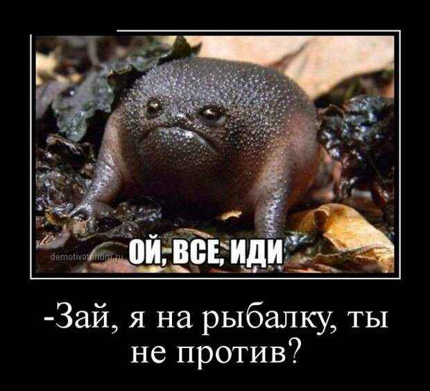 Демотиваторы (30 фото)