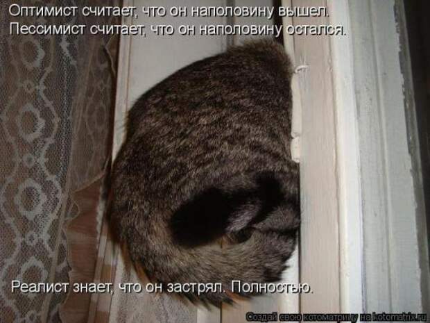 Котоматрица Котоматрица