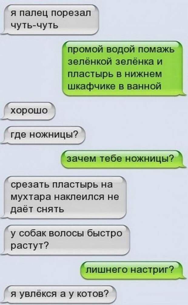 СМС-переписка мальчика Сани с его мамой Катей СМС-переписка мальчика Сани с его мамой Катей, сын и мама