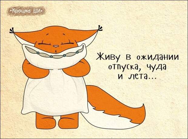 Девичья правда от белки Ши белка, рисунки