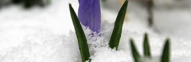 Как казахстанцы отдохнут в марте