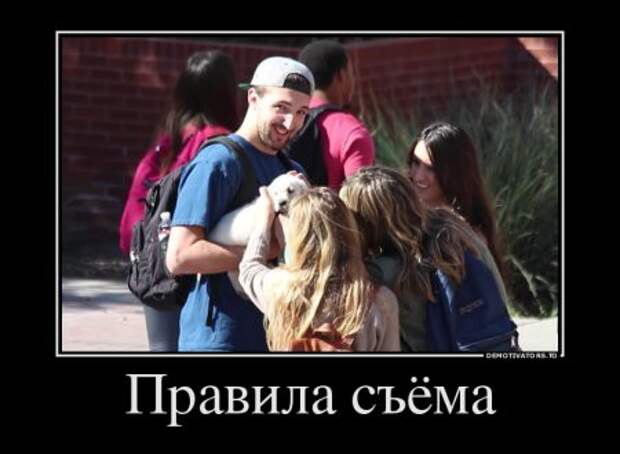 Подборка демотиваторов и просто смешных картинок девушки, демотиваторы, животные, коты, прикол, юмор