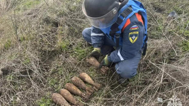 В Крыму обезвредили взрывоопасные предметы времён Великой Отечественной войны
