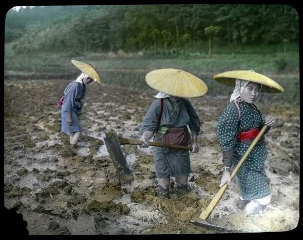 1910 год: Идиллические раскрашенные фотографии Японии периода окончания эпохи Мэйдзи 