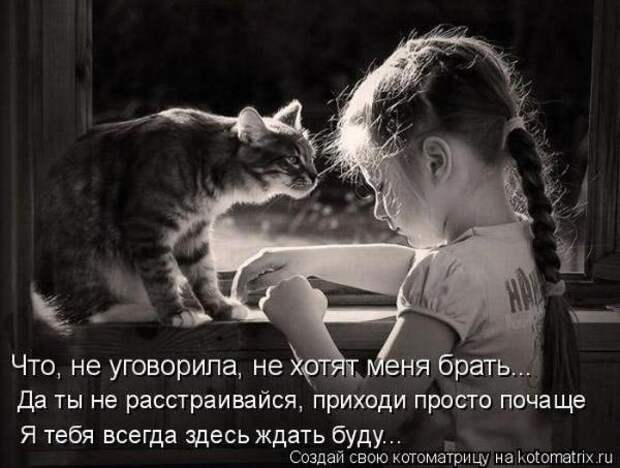 Котоматрица Котоматрица