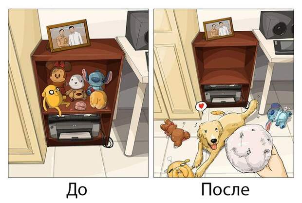 Жизнь до и после появления собаки, жизнь с собакой и без, Меймай Джон, Maimai John