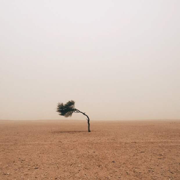 Победители конкурса мобильной фотографии iPhone Photography Awards 2015 Победители конкурса мобильной фотографии iPhone Photography Awards 2015