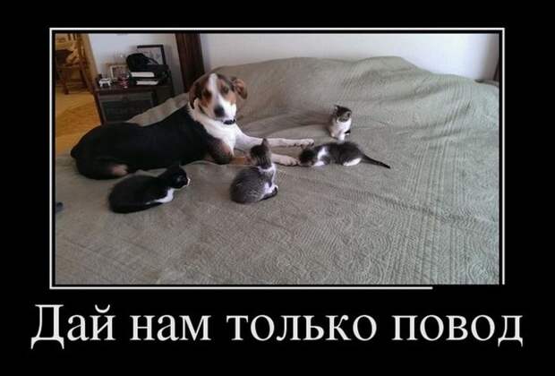 Прикольные демотиваторы Прикольные демотиваторы