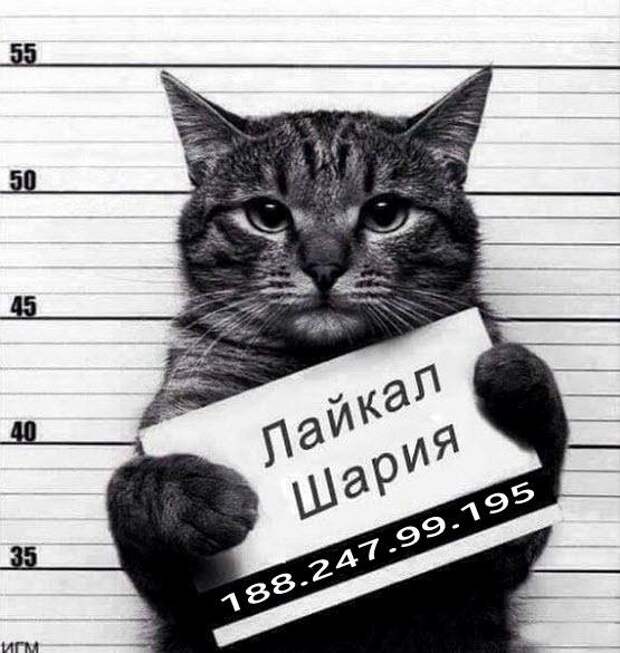 In article 92180b2fd8