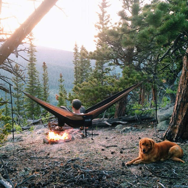 traveling-dog-aspen-the-mountain-pup-instagram-6