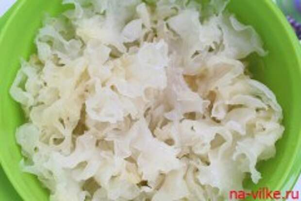 Ледяной гриб по корейски. Белые морские грибы по корейски. Коралловый гриб салат. Коралловые грибы по-корейски. Морской гриб салат корейский.