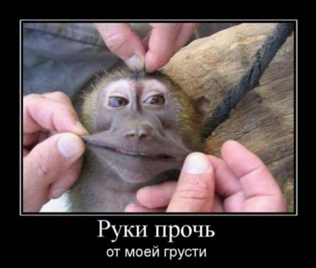 Демотиваторы много, свежие.