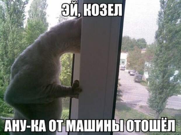 АВТОприкольные картинки (20 шт)