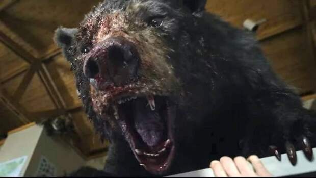 Universal показала трейлер комедийного триллера «Кокаиновый медведь»