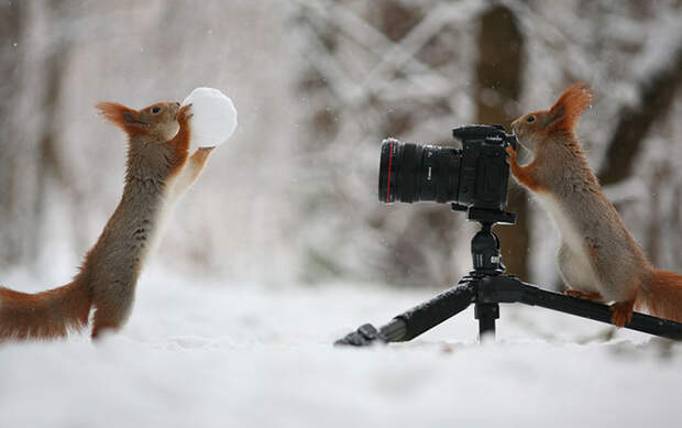 А теперь ты меня сфотографируй!
