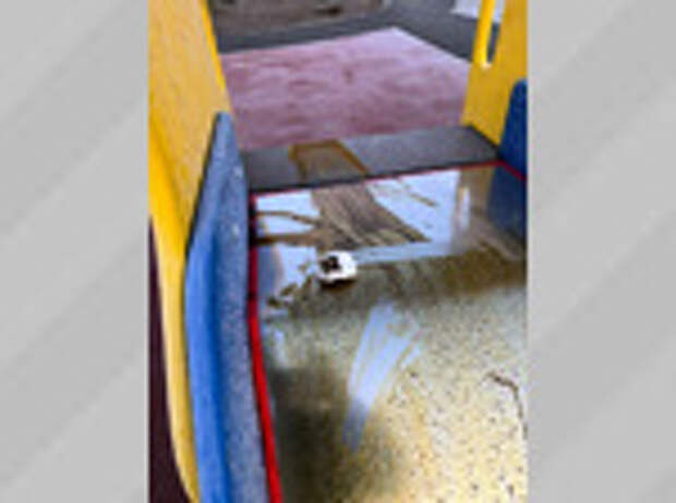 Фото: глава Славгорода Людмила Подгора