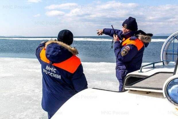 Двое мужчин и собака «прокатились» на льдине во Владивостоке