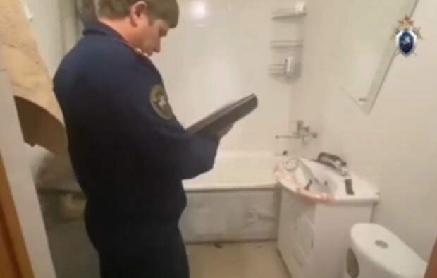 В центральный аппарат СК России представят доклад о ходе расследования уголовного дела по факту убийства ребенка в Московской области