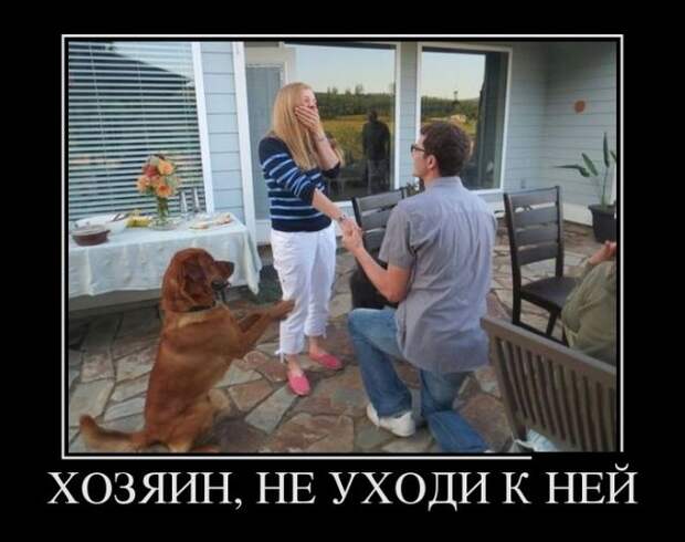 Прикольные демотиваторы Прикольные демотиваторы