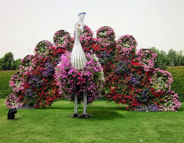 it-is-the-8th-wonder-of-the-world-unique-garden-in-dubai-will-surprise-even-the-most-avid-artnaz-com-11